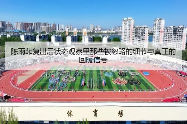 陈雨菲复出后状态观察里那些被忽略的细节与真正的回暖信号